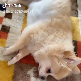 おはよー？おやすみー？の画像