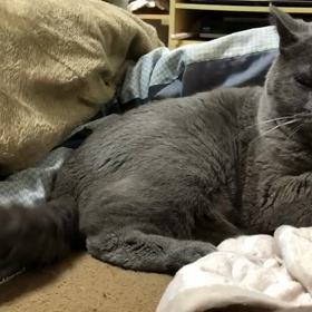 グルグルの画像