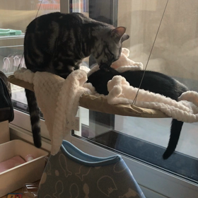 スキースクールの画像