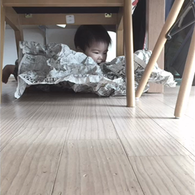 ズリバイの旅の画像