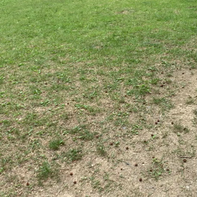 初めての旅行　②の画像