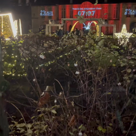 我が街のショボいイルミネーションの画像