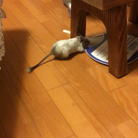 どうにもならんの画像