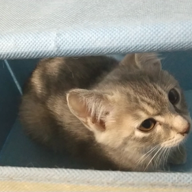 箱の中に、、、の画像