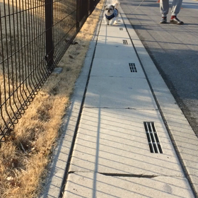 大晦日のお散歩の画像