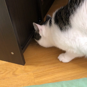 強盗事件の画像