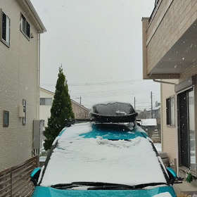 なごり雪の画像