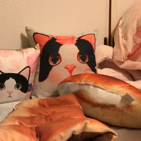 猫じゃらし、ラウンド2か3の画像