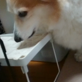 なんだったんだ？？の画像