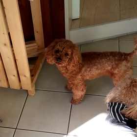 ハッピ(^-^)いつもありがとぉ(≧∇≦)bの画像