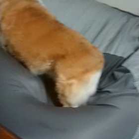 荒れてますの画像