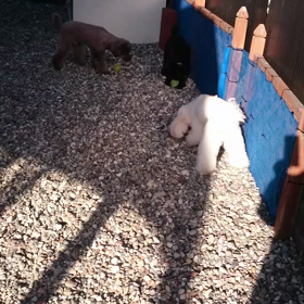 ボール遊びの画像