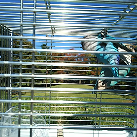 ピクニックなう(動画のみ)の画像