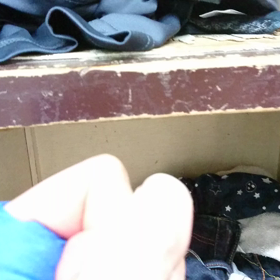 なんでおいらだけ？の画像