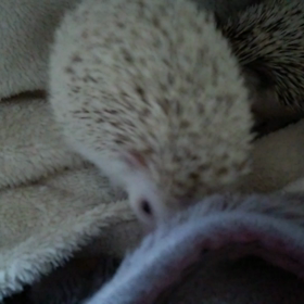 ♯どアップ♯の画像