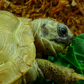 戦利品をもりもりとの画像