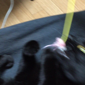 あったかいの？の画像