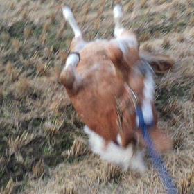 ワラ大好き〜の画像