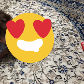 胸キュンキュン。。ずり這いデビュー！！の画像