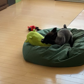 だんだんとの画像