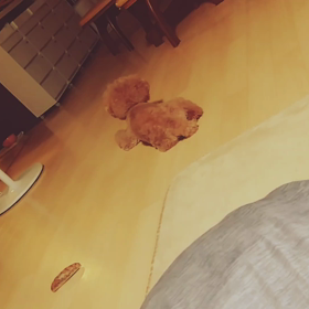 長子・中間子・末子・一人っ子！きょうだい型タイプ分けの画像