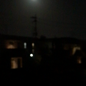 満月と桜の饗宴の画像