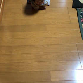 つーちゃん1歳5ヶ月の記録の画像
