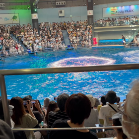 アクアパークの画像