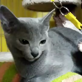 Ai ちゃん❤の画像