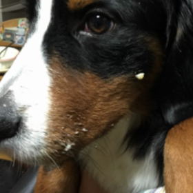 いつになったら、、の画像