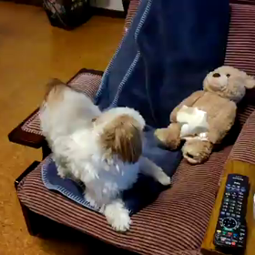 あたふた！あたふた！の画像