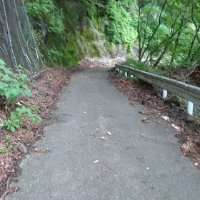 栃木県道293号線 車両通行止め区間(動画のためWi-Fi環境推薦)の画像