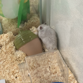 晴れた〜✩.*˚の画像