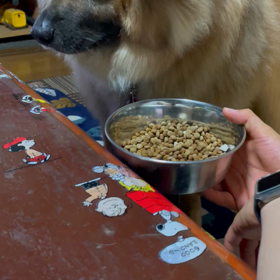 食欲旺盛マロさんの画像