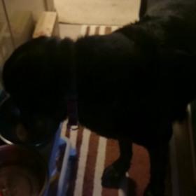 毎日のお仕事の画像