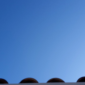 うぐいすの画像