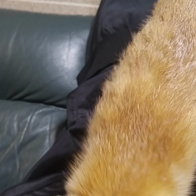 スーパーべったりモードの画像