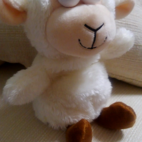 お友だち できたの画像