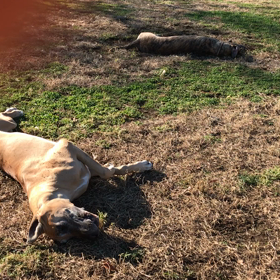 お山合宿中の画像