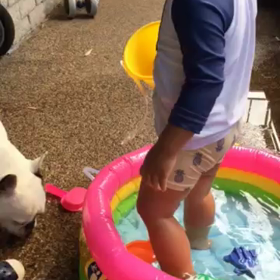 孫ちんは夏真っ盛り！の画像