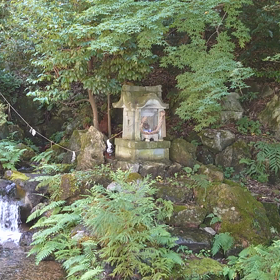 ついに141円代に突入しましたねの画像