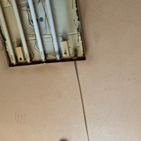 Cath,ida mo ment.の画像