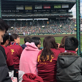 レッツゴー習志野の画像