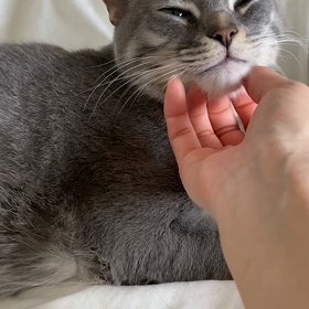 とろけるおまるの画像