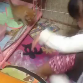 連休2日目の画像