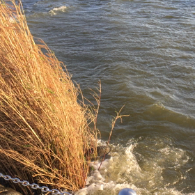 【霞ヶ浦...結果♪】の画像