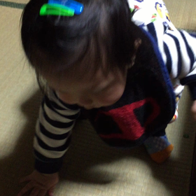 立っち、立っちの画像