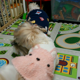 2017おめでとうの画像