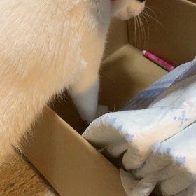 鼻血が洪水の画像