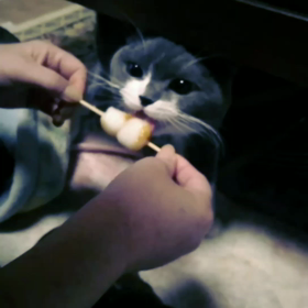 お団子食べるぅ〜♫の画像